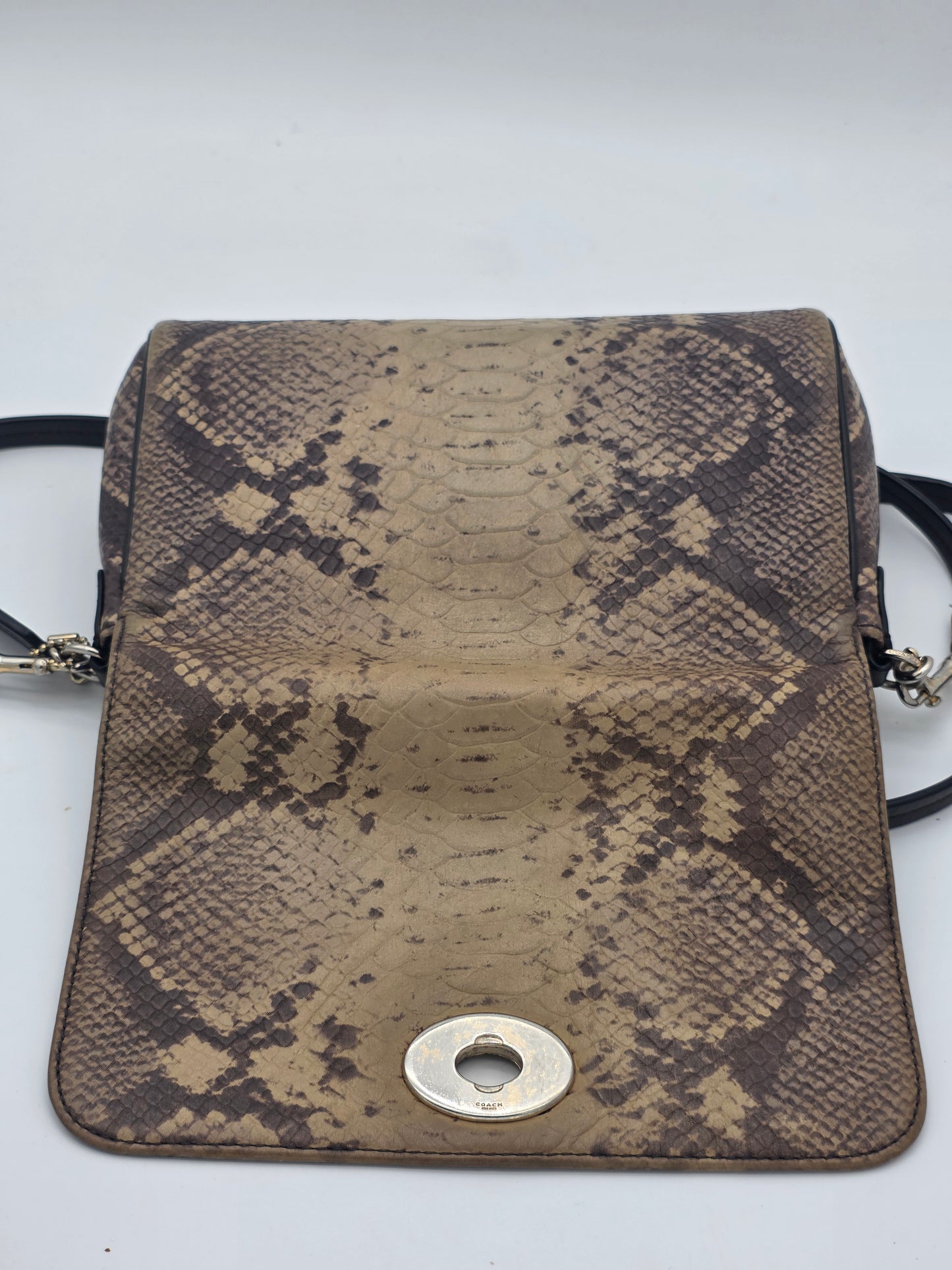 Coach Snakeskin-Embossed Leather Crossbody Clutch – Silver Hardware